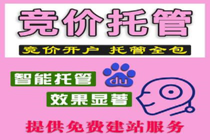 SEM竞价优化实战：案例解析如何提高广告转化率
